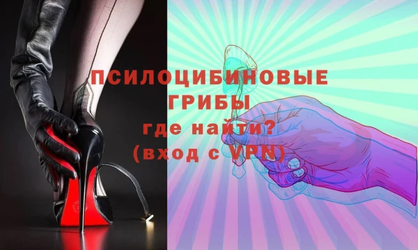СК Абаза