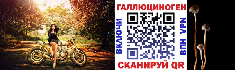 Псилоцибиновые грибы прущие грибы  купить наркотик  Дубна 