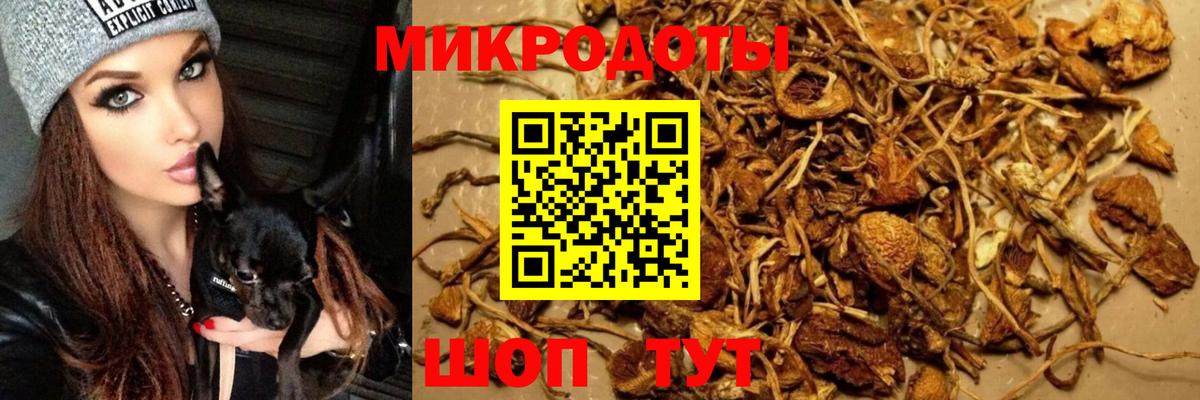 Дубна  Псилоцибиновые грибы GOLDEN TEACHER  купить закладку  Вход с VPN  Псилоцибиновые грибы прущие грибы 